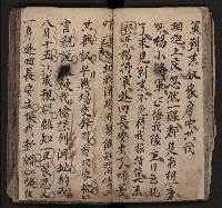 皮影戲劇本《飛鵝洞白荔枝》藏品圖，第43張