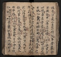 皮影戲劇本《飛鵝洞白荔枝》藏品圖，第46張