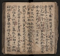 皮影戲劇本《飛鵝洞白荔枝》藏品圖，第48張