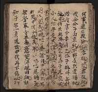 皮影戲劇本《飛鵝洞白荔枝》藏品圖，第49張