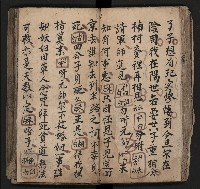 皮影戲劇本《飛鵝洞白荔枝》藏品圖，第50張
