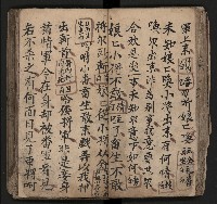 皮影戲劇本《飛鵝洞白荔枝》藏品圖，第53張