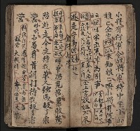皮影戲劇本《飛鵝洞白荔枝》藏品圖，第55張