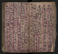皮影戲劇本《飛鵝洞白荔枝》藏品圖，第59張