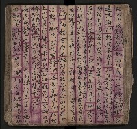 皮影戲劇本《飛鵝洞白荔枝》藏品圖，第61張