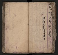 皮影戲劇本《飛鵝洞白荔枝》藏品圖，第62張