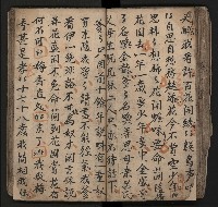 皮影戲劇本《飛鵝洞白荔枝》藏品圖，第80張