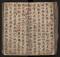 皮影戲劇本《飛鵝洞白荔枝》藏品圖，第81張