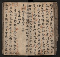 皮影戲劇本《飛鵝洞白荔枝》藏品圖，第83張