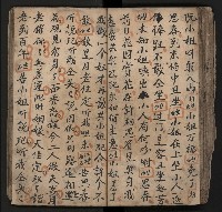 皮影戲劇本《飛鵝洞白荔枝》藏品圖，第89張