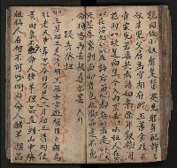 皮影戲劇本《飛鵝洞白荔枝》藏品圖，第90張
