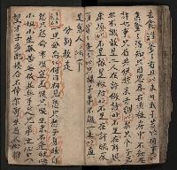 皮影戲劇本《飛鵝洞白荔枝》藏品圖，第97張