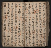 皮影戲劇本《飛鵝洞白荔枝》藏品圖，第102張