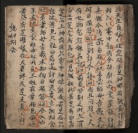 皮影戲劇本《飛鵝洞白荔枝》藏品圖，第111張