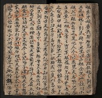 皮影戲劇本《飛鵝洞白荔枝》藏品圖，第113張