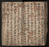 皮影戲劇本《飛鵝洞白荔枝》藏品圖，第117張