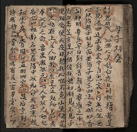 皮影戲劇本《飛鵝洞白荔枝》藏品圖，第118張