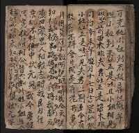 皮影戲劇本《飛鵝洞白荔枝》藏品圖，第120張