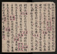 皮影戲劇本《包公案》藏品圖，第6張