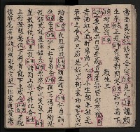 皮影戲劇本《包公案》藏品圖，第14張