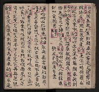 皮影戲劇本《包公案》藏品圖，第19張