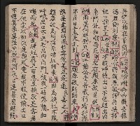 皮影戲劇本《包公案》藏品圖，第36張