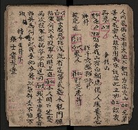 皮影戲劇本《仁貴征東》藏品圖，第25張