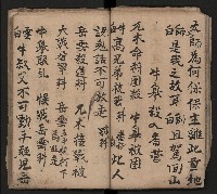 皮影戲劇本《取金陵》藏品圖，第36張