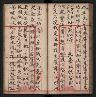 皮影戲劇本《朱鳴鳳登台》藏品圖，第53張