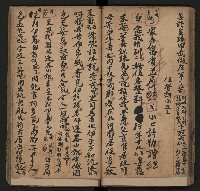 皮影戲劇本《月臺夢 龍頭寶劍記》藏品圖，第36張
