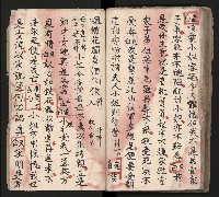 皮影戲劇本《龍鳳匹配第一部 再生緣》藏品圖，第53張