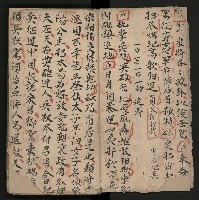 皮影戲劇本《楊宗保、穆桂英》藏品圖，第12張