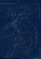 壽山公園貸下書類（指令第二一八號許可）藏品圖，第169張