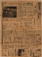 參考資料藏品圖，第335張