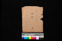 策六（一枚）A左營、B前峯尾、內惟（圖面）藏品圖，第1張