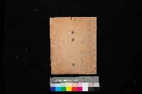 馬臨營七三號－後勁（一枚）（圖面）藏品圖，第1張