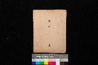 燕巢（圖面）藏品圖，第1張