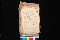 土地新規登陸相成度件依賴藏品圖，第1張