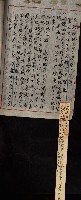 年期貸度（潮州郡）
被許可人－塩野義製藥株式會社藏品圖，第149張