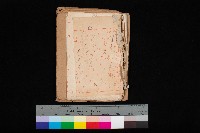 南日本鹽業株式會社藏品圖，第1張