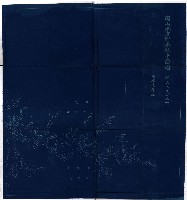 臨時資金調整法施行令
（阿公店溪、岡山地方貯水池）藏品圖，第16張