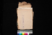 岡山郡彌陀庄（圖面）藏品圖，第1張