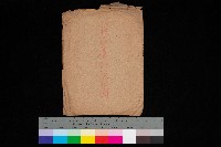 結核療養所設計圖藏品圖，第1張