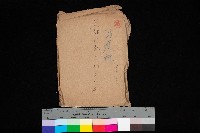 防疫所（高雄市壽町圖面壱葉）藏品圖，第1張