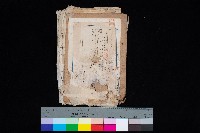 國有財產準貸付願
（臺灣電力株式會社）藏品圖，第1張