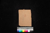 岡山用地（地圖壱葉在中）藏品圖，第1張