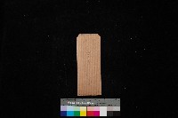 桃子園（圖面）藏品圖，第1張