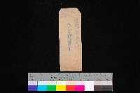 高雄中學校校舍（圖面）藏品圖，第1張