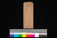 網菌試驗室（圖面）藏品圖，第1張