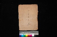 拕子倉庫用地藏品圖，第1張